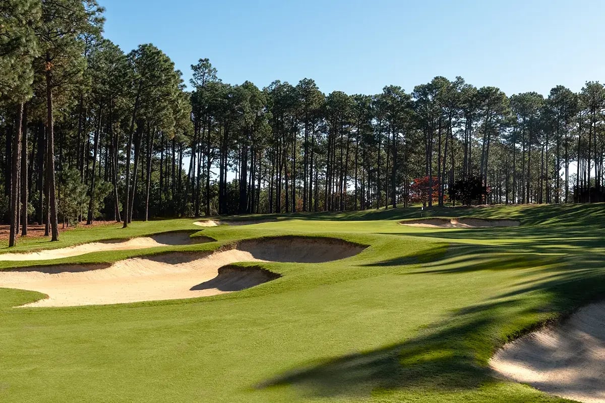 Where Quality Meets Pace at Forest Creek