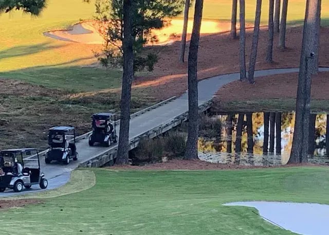 members hog hole driving in cart