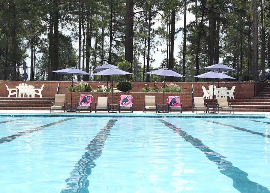 Pool and chairs