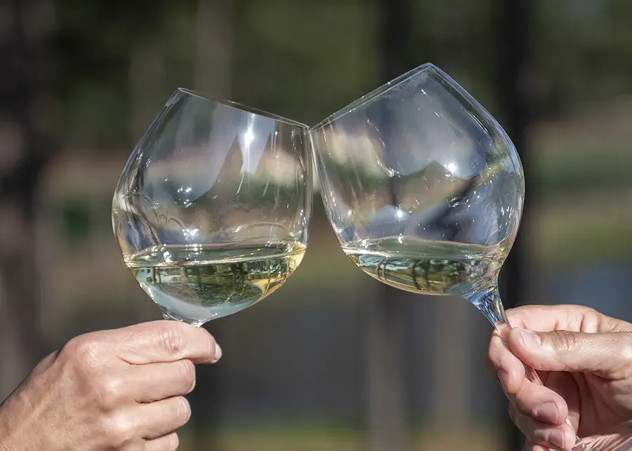 wine glasses