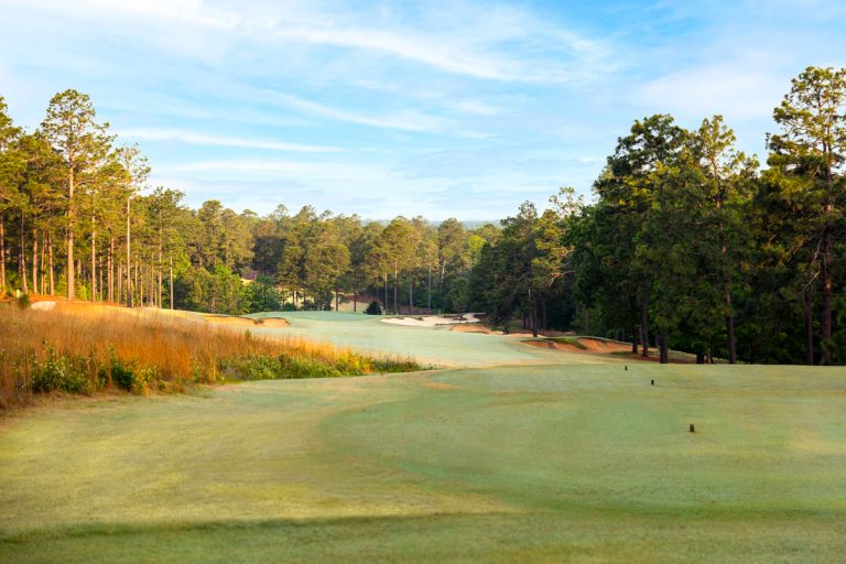 Teebox view of the 5th hole at Forest Creek North Course