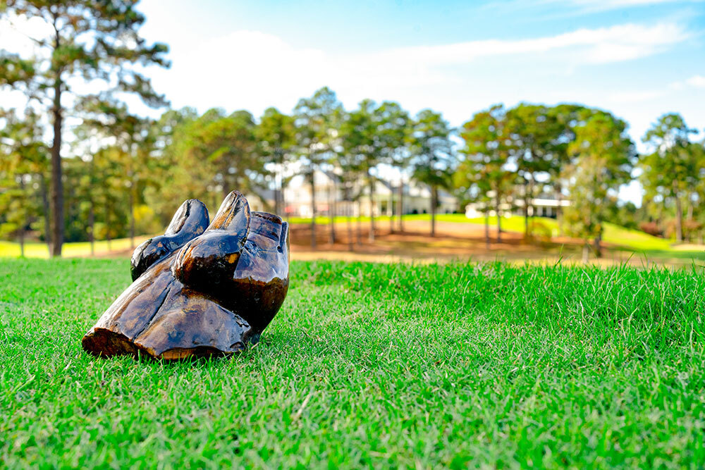 forest creek hog hole tee marker