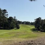 An image of a Forest Creek Golf Course in bright sunlight.