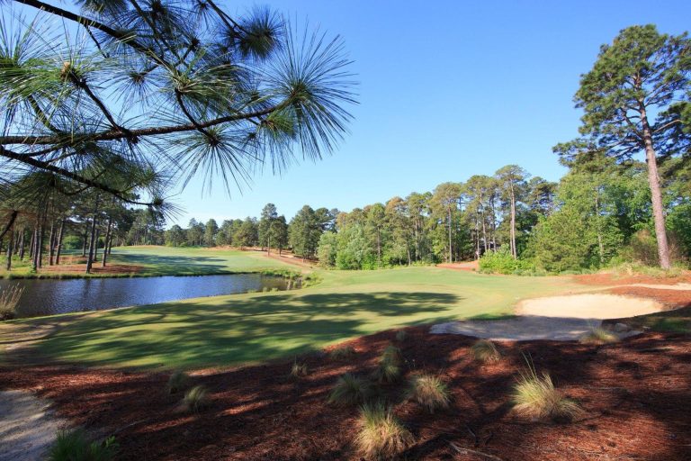 Golf fairway at Forest Creek with a water hazard in the foreground, surrounded by tall pine trees under a clear blue sky
